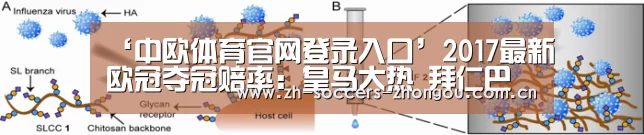 ‘中欧体育官网登录入口’2017最新欧冠夺冠赔率：皇马大热 拜仁巴萨仍有望翻盘