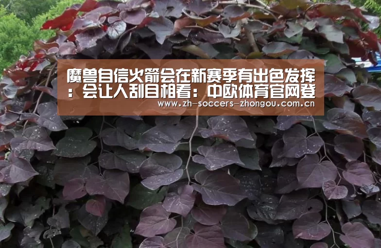 魔兽自信火箭会在新赛季有出色发挥：会让人刮目相看：中欧体育官网登录入口