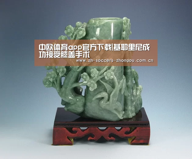 中欧体育app官方下载|基耶里尼成功接受膝盖手术