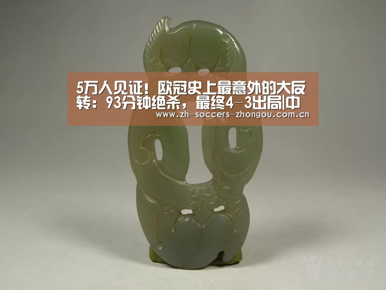 中欧体育官方网站最新版