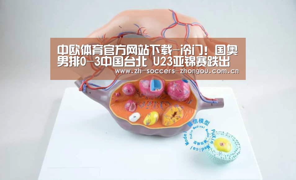 中欧体育官方网站下载-冷门!国奥男排0-3中国台北 U23亚锦赛跌出四强(图2) 中欧体育app官方下载