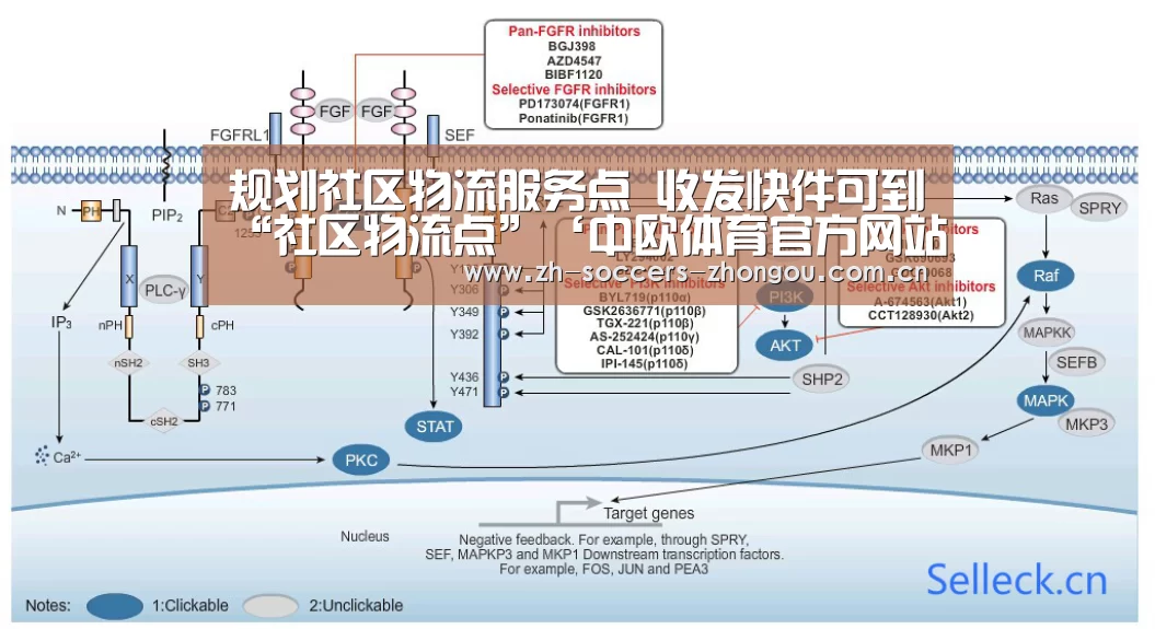 规划社区物流服务点 收发快件可到“社区物流点”‘中欧体育官方网站下载’(图3) 中欧体育官方网站下载