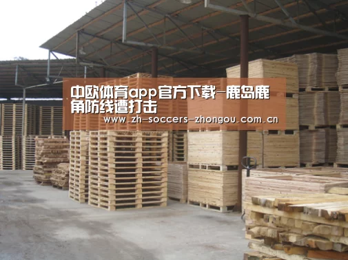 中欧体育app官方下载