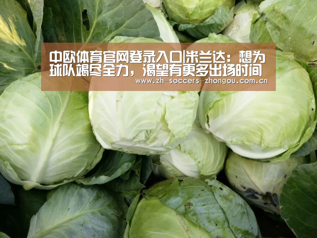 中欧体育官网登录入口|米兰达:想为球队竭尽全力,渴望有更多出场时间(图1) 中欧体育官方网站下载
