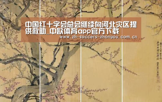中国红十字会总会继续向河北灾区提供救助_中欧体育app官方下载(图1) 中欧体育官方网站最新版