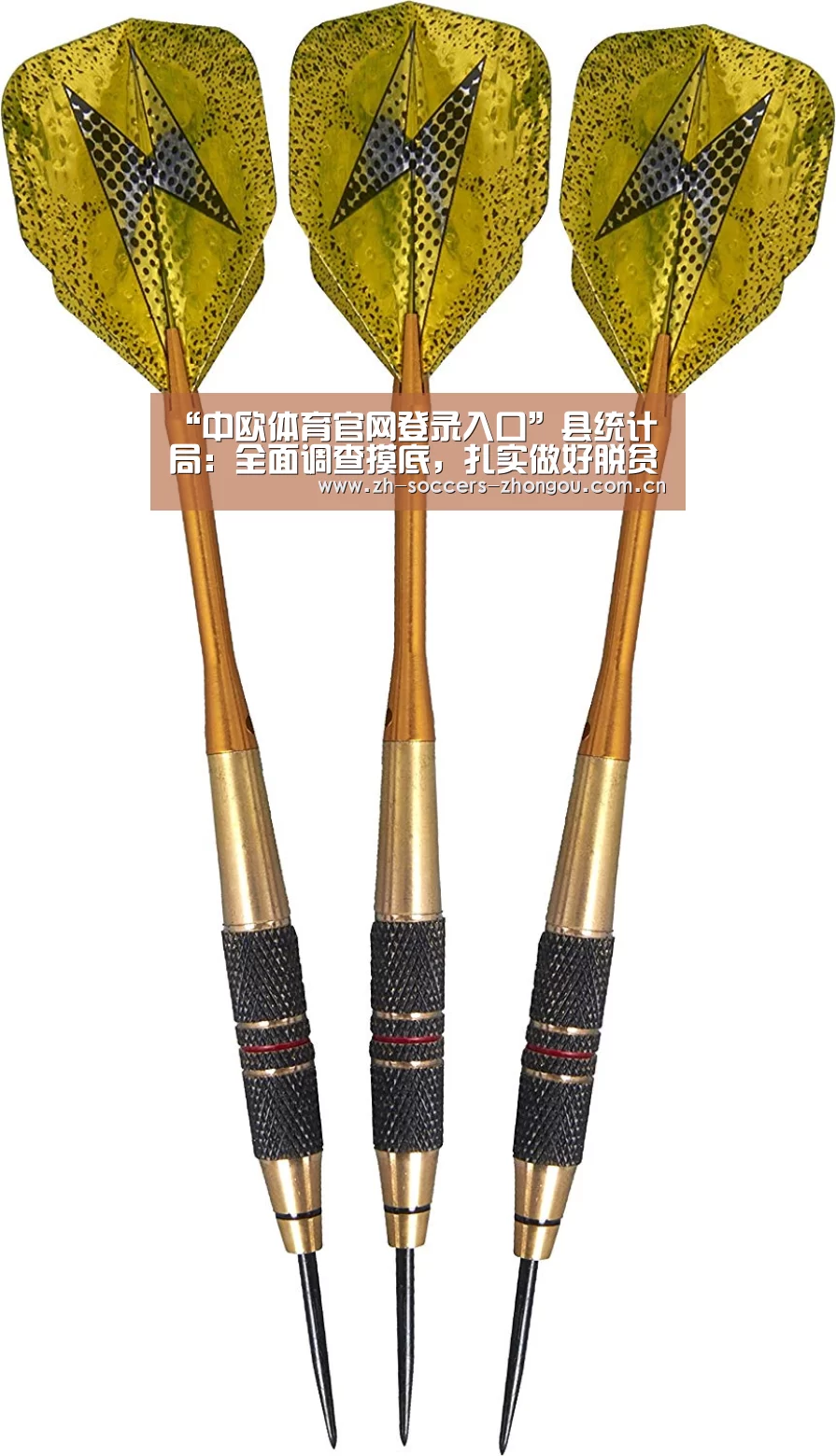 “中欧体育官网登录入口”县统计局:全面调查摸底,扎实做好脱贫攻坚工作(图1) 中欧体育官网登录入口